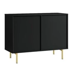 Richmond Ridged Matte Black with Gold Accents – Contemporary Luxe 2-Door 2-Drawer Storage Cabinet -Daals Store BSD 126 BLACK WB5