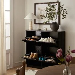 Maru 4-Door Shoe Storage Cabinet, Black -Daals Store BSD 179 BLACK scene2