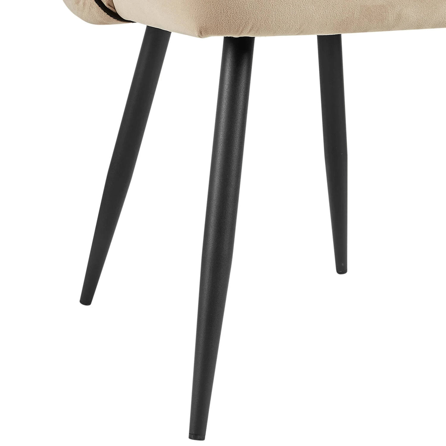 Oakley Set Of 2 Champagne Velvet Upholstered Dining Chairs With Contrast Piping 9 Oakley Set Of 2 Champagne Velvet Upholstered Dining Chairs With Contrast Piping - Image 9