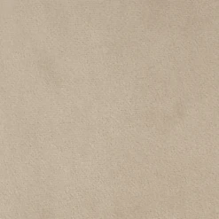 Oakley Set Of 2 Champagne Velvet Upholstered Dining Chairs With Contrast Piping 19 Oakley Set Of 2 Champagne Velvet Upholstered Dining Chairs With Contrast Piping -Daals Store DCH 2138 CHAMP VEL 2P fabric detail