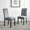 Maidwell Set Of 2 Grey Velvet Dining Chairs -Daals Store DCH LW8116 GREYVEL 2P main