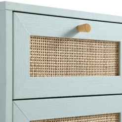 Frances Woven Rattan 1-Door Bathroom Cabinet, Mint -Daals Store FT BAC 01 SAGE detail1
