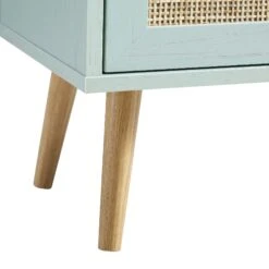 Frances Woven Rattan 1-Door Bathroom Cabinet, Mint -Daals Store FT BAC 01 SAGE detail3