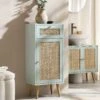 Frances Woven Rattan 1-Door Bathroom Cabinet, Mint -Daals Store FT BAC 01 SAGE main