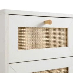 Frances Woven Rattan 1-Door Bathroom Cabinet, White -Daals Store FT BAC 01 WHITE detail1