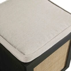 Frances Woven Rattan Single Storage Stool With Cushion, Black 25 Frances Woven Rattan Single Storage Stool With Cushion, Black -Daals Store FT BENCH 02 BLACK detail2