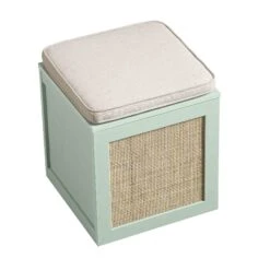 Frances Woven Rattan Single Storage Stool With Cushion, Mint -Daals Store FT BENCH 02 SAGE WB4