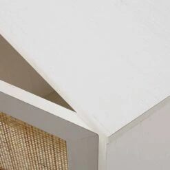 Frances Woven Rattan 2-Door Desk, White -Daals Store FT DSK 01 WHITE detail2