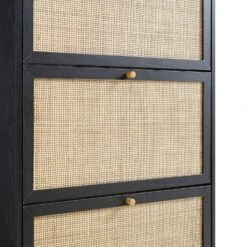 Frances Rattan 3 Tier Shoe Storage Cabinet, Black -Daals Store FT SHC 01 BLACK detail4