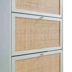 Frances Rattan 3 Tier Shoe Storage Cabinet, Mint -Daals Store FT SHC 01 SAGE detail3