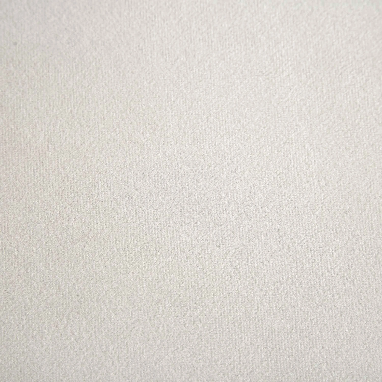 Dipley Champagne Velvet Sofa, 2-Seater 12 Dipley Champagne Velvet Sofa, 2-Seater - Image 12