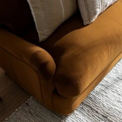 Daphnis Cinnamon Velvet Sofa Bed, Loveseat 28 Daphnis Cinnamon Velvet Sofa Bed, Loveseat -Daals Store GCSF 2603 CMON VEL LOVESEAT scene8