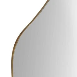 Pavia Irregular Shaped Extra Large Full Length Mirror 160 X 115 Cm, Antique Gold -Daals Store MIRR 102 ANTQGOLD detail1