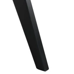 Jeanne Black Colour Cane Rattan Solid Beech Wood Dining Chair 19 Jeanne Black Colour Cane Rattan Solid Beech Wood Dining Chair -Daals Store XN 1933C BLACK detail3