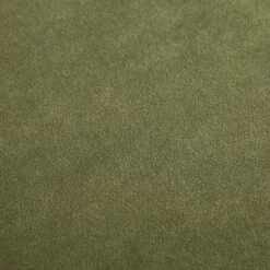 Pienza Cane Sofa Bed, Moss Green Velvet With Walnut Frame 31 Pienza Cane Sofa Bed, Moss Green Velvet With Walnut Frame -Daals Store XNSF 760 GREENVEL WALN fabric detail